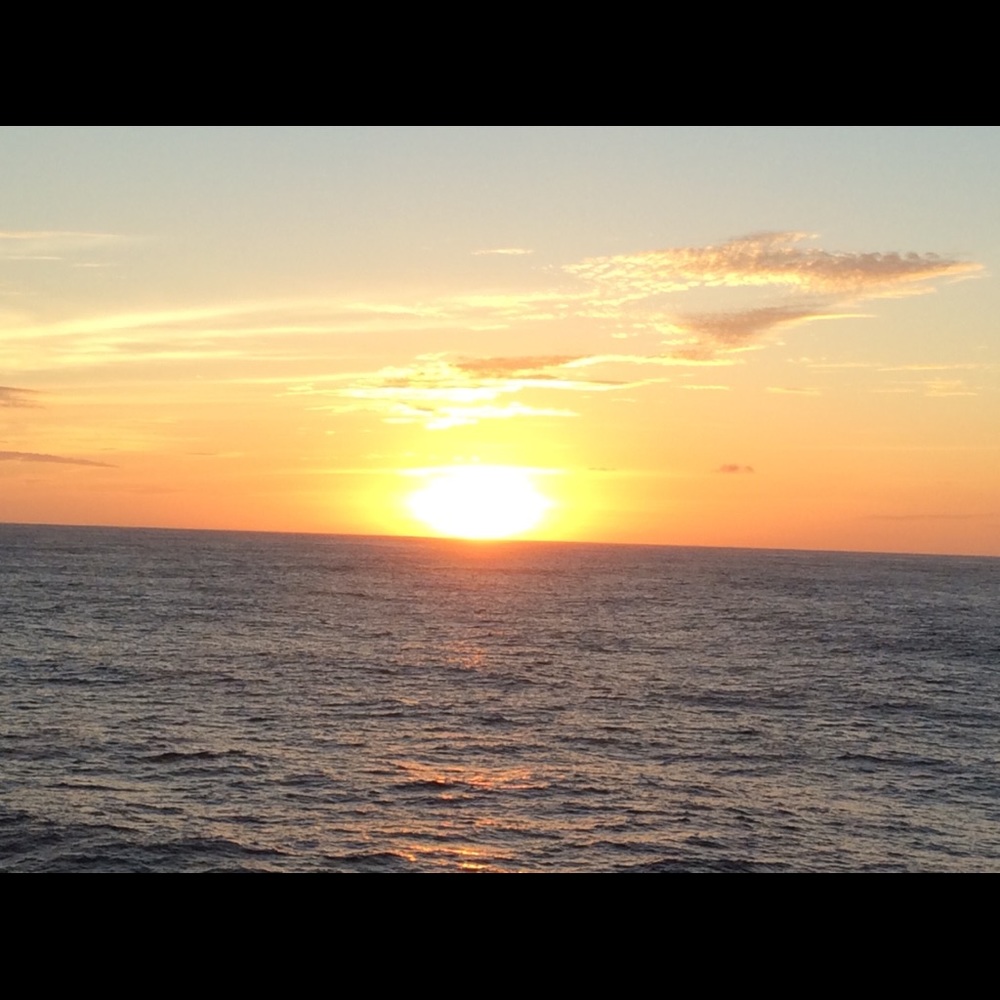 Meet your Posher, Isabel